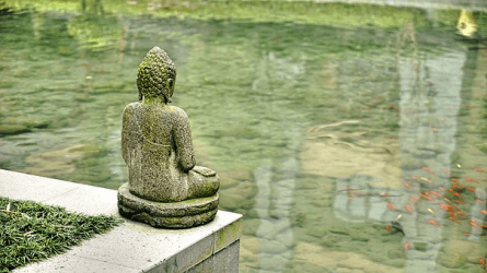 Yoga & Forêt